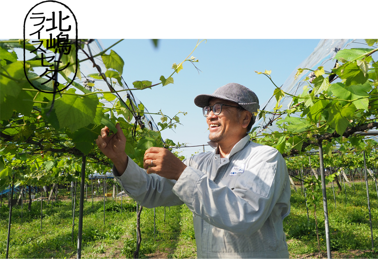 北嶋ライスセンター