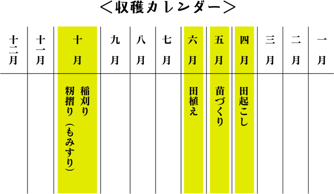 収穫カレンダー