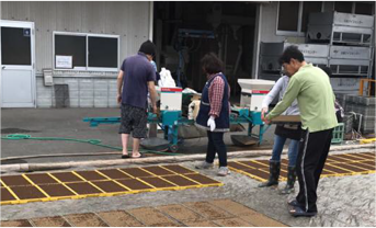 苗を育てる写真