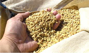 出荷準備の写真